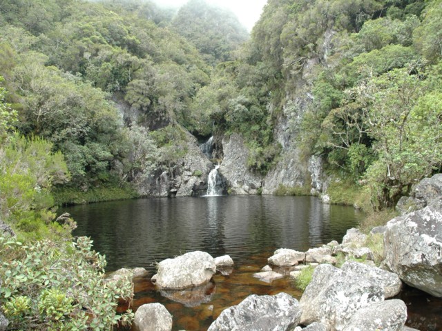 Bassin