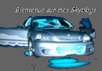 Les skyblogs