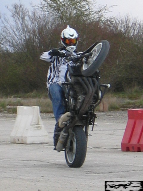 Show motard &agrave; Laon